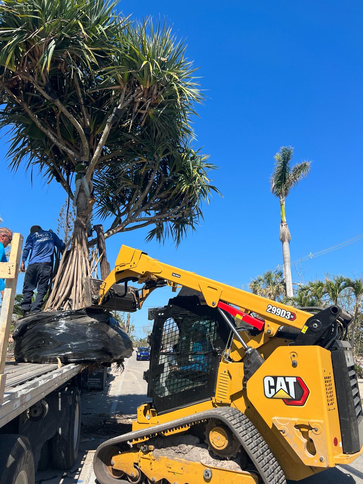 #BobcatService #LandClearing #HeavyEquipment